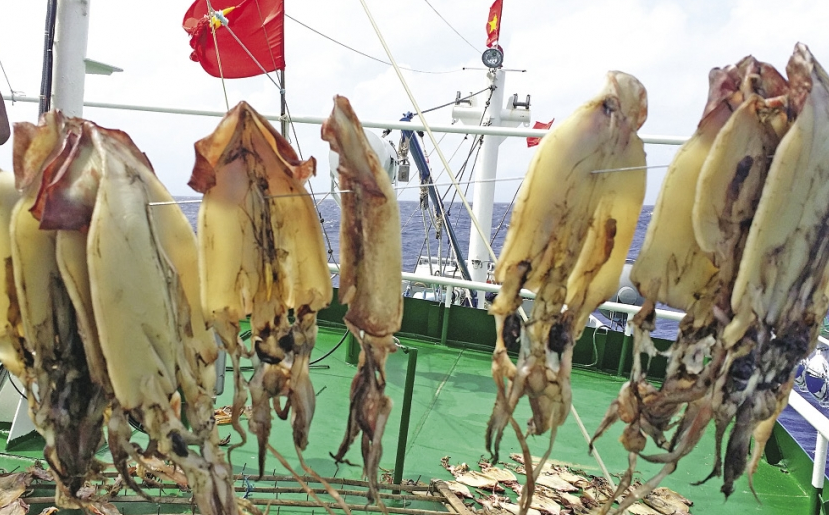 Khoảnh khắc giữa biển khơi