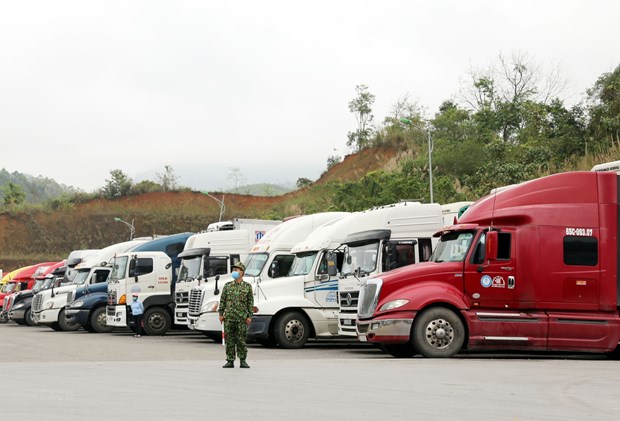 Lang Son: Phat trien cua khau so trong hoat dong xuat nhap khau hinh anh 2