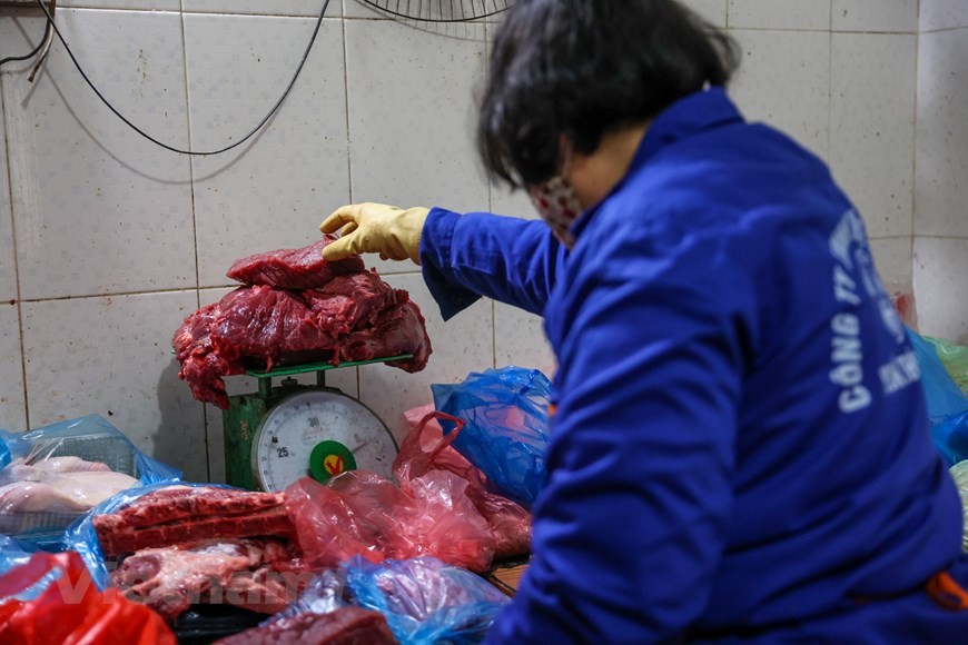 Một ngày của những người chăm sóc 'ông ba mươi' ở vườn thú Hà Nội