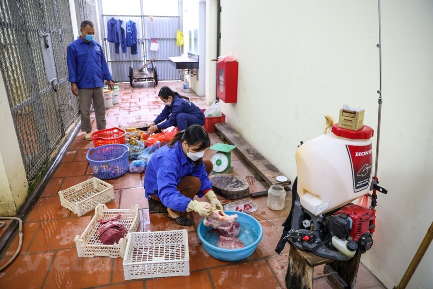 Một ngày của những người chăm sóc 'ông ba mươi' ở vườn thú Hà Nội