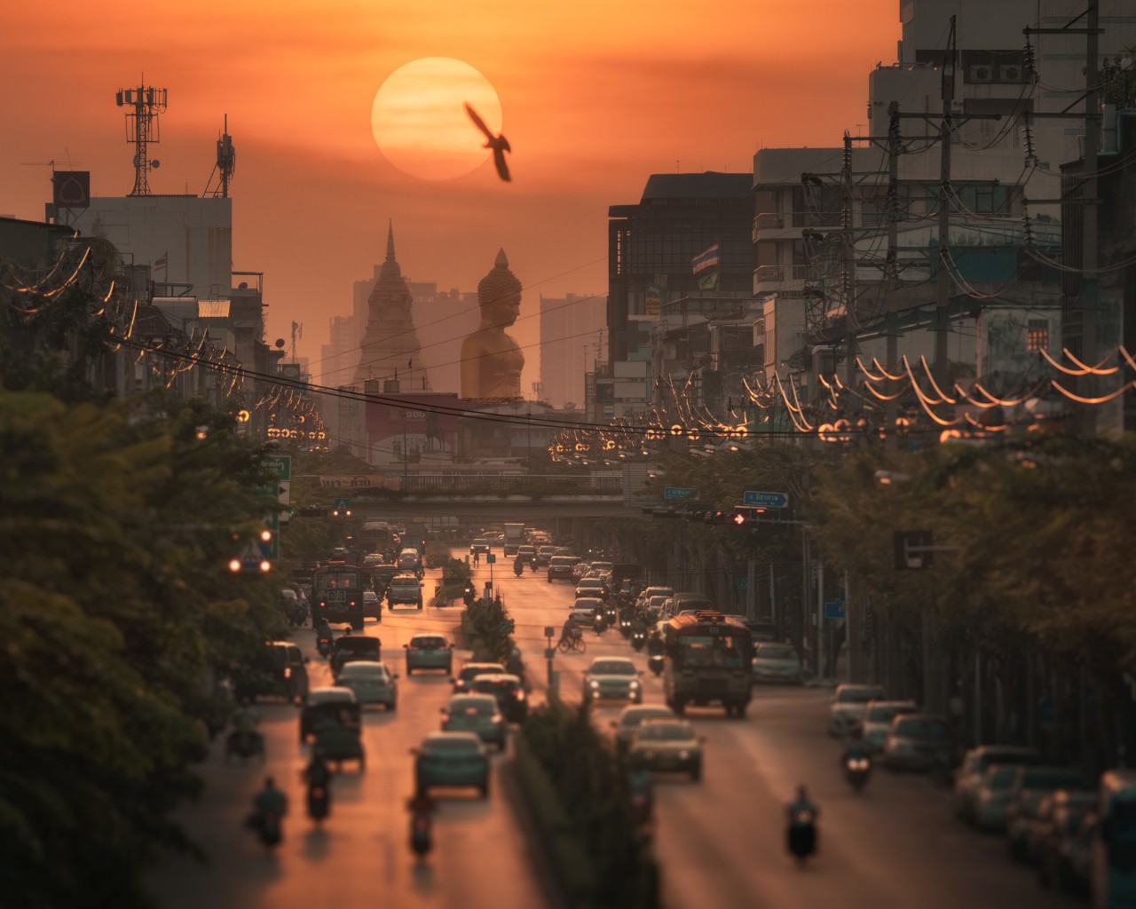 Ảnh xe đạp hoa Hà Nội đoạt giải quốc tế