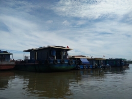 Khởi tố, bắt 15 "cát tặc" trên sông Hồng