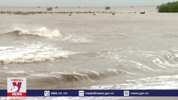 Bão số 2 gây thiệt hại trên 18.000 ha lúa