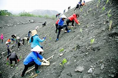 Không có phương án cải tạo, phục hồi môi trường sẽ bị phạt đến 200 triệu đồng