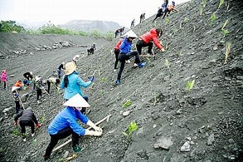 khong co phuong an cai tao phuc hoi moi truong se bi phat den 200 trieu dong