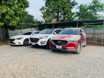 Đang xác minh 83 chiếc xe để trả lại cho chủ sở hữu