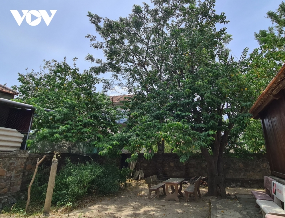 Nhớ Đại tướng Võ Nguyên Giáp những lần về thăm quê