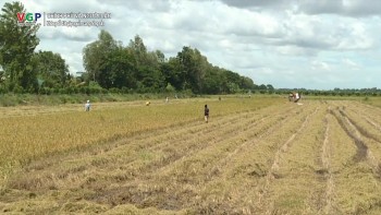 Duy trì chu kỳ sản xuất nông nghiệp, không để đứt gãy nguồn cung nông sản