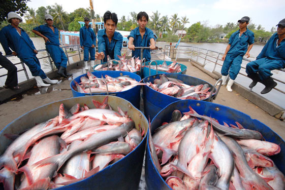 Nông sản Việt Nam vẫn phải chinh phục thị trường nội địa