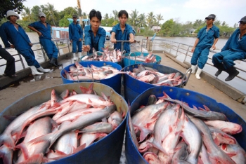 Nông sản Việt Nam vẫn phải chinh phục thị trường nội địa