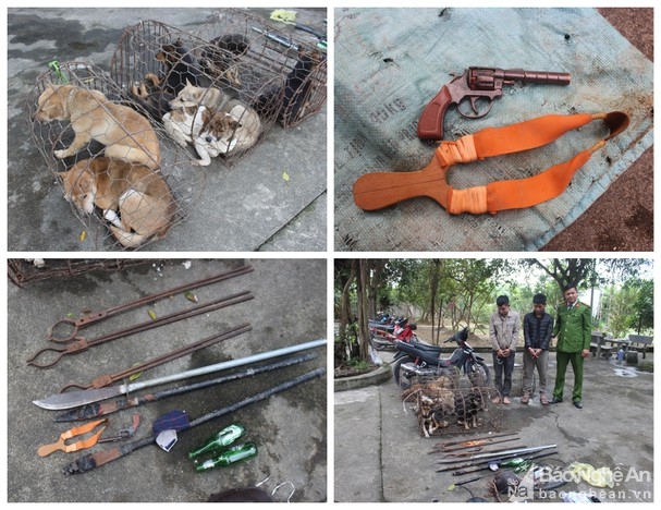 duoi theo 2 doi tuong trom cho truong cong an xa bi cau tac nem gay mui