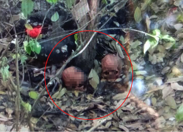 tin tuc 24h tin phap luat moi nhat nong nhat hom nay 101