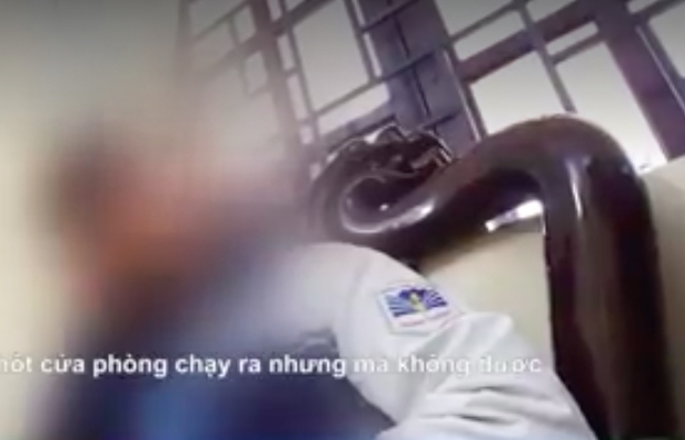 tho lam mong o my bi khach tat vao mat vi noi tieng viet voi dong nghiep