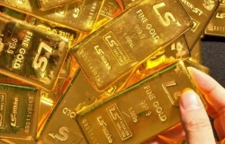 gia vang hom nay 301 tiep tuc leo cao do cu soc virus corona