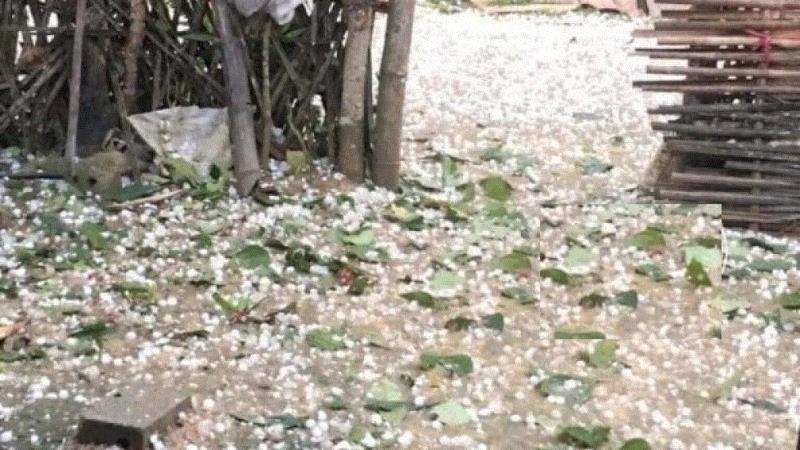 hon 5000 ngoi nha mat tet do mua da