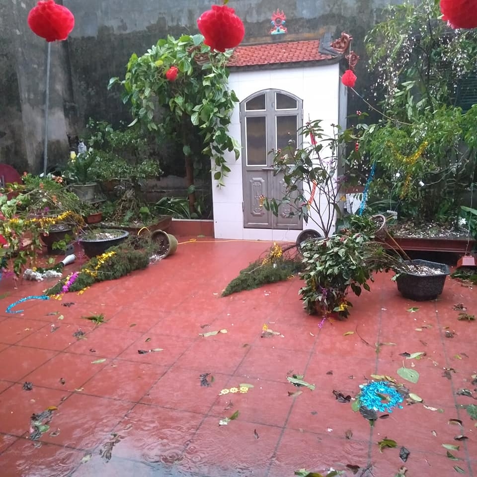 thai binh don tran cuong phong sang mung 1 tet cay coi do la liet