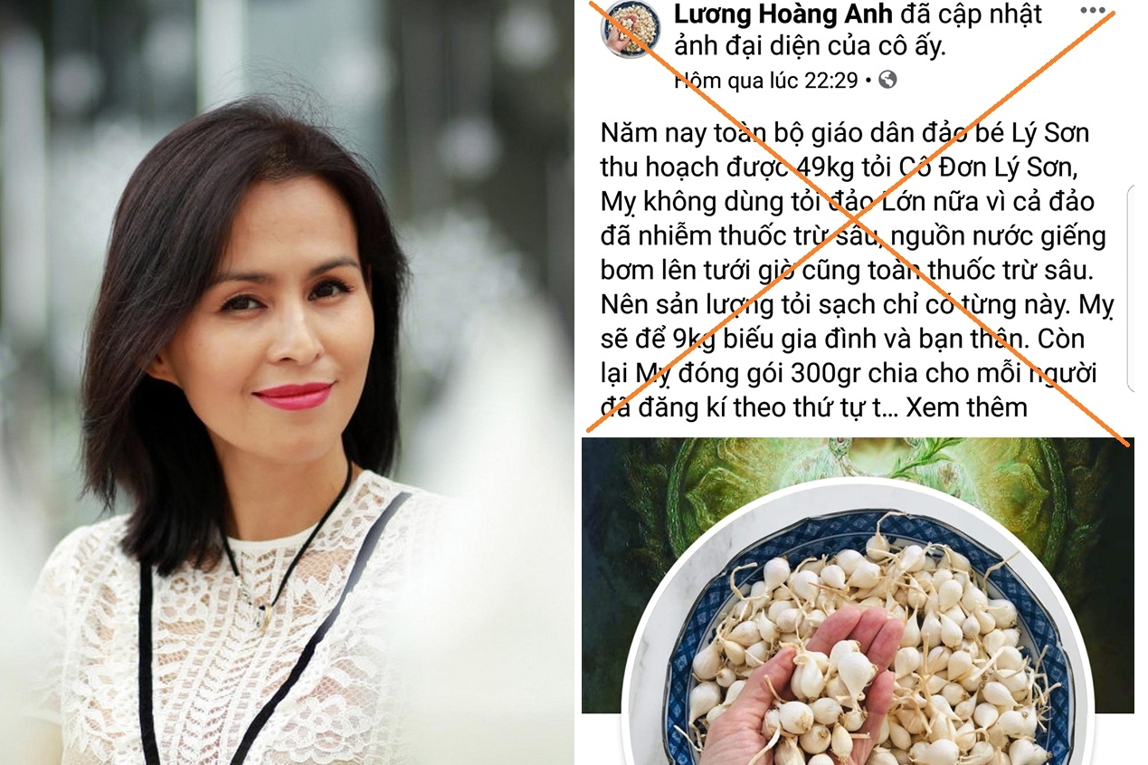 luong hoang anh cu dai dien lam viec voi so tt tt do dua tin that thiet ve toi ly son