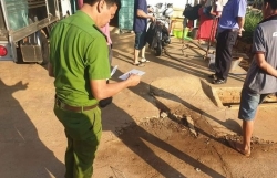 hon chien tai quan tra chanh 4 thanh nien thuong vong