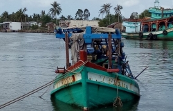 chay tau ca o han quoc 5 thuyen vien viet mat tich
