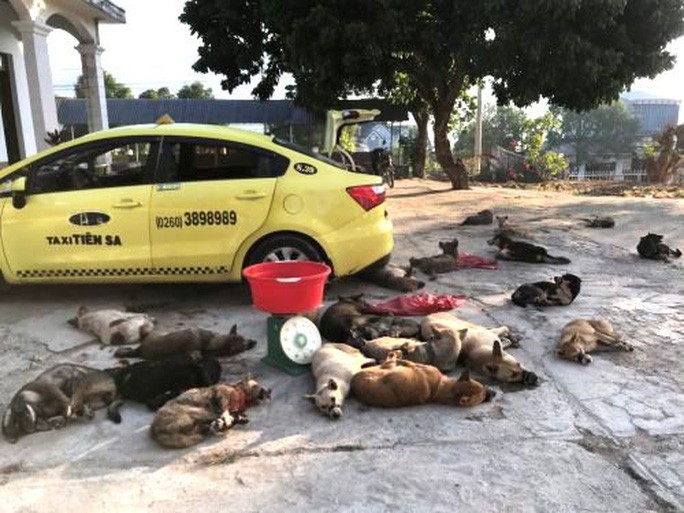 tin phap luat 24h nong nhat hom nay 43 ong hiep khung hau toa sau 1 nam xay ra vu chay day nha tro gia re