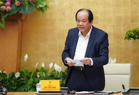 nop phat vi pham giao thong qua mang chong tham nhung vat