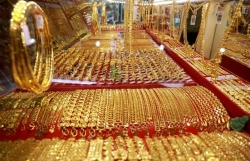 gia heo hoi hom nay 173 giam sau toi 8000 dongkg co dau hieu ha nhiet