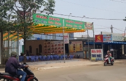 gia heo hoi hom nay 193 van tren dinh 85000 dongkg