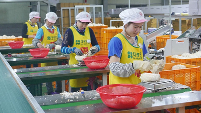 lao dong viet nam lam viec o nuoc ngoai mat viec vi covid 19 se duoc ho tro gi