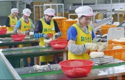 nguyen khang kim tuyen phat gao cho nguoi ngheo gia dinh viet hoan len trang trai tron dich