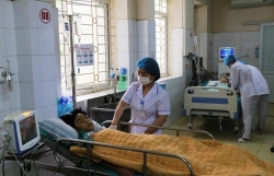 Ăn nhầm nấm độc khi đi chăn trâu, em tử vong, anh nguy kịch