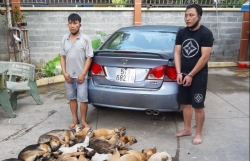 Bắt giữ 2 thanh niên lái xe ô tô, mang theo súng điện đi trộm chó
