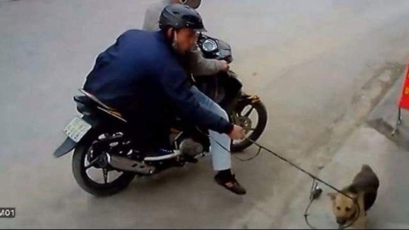truy duoi cau tac nguoi dan ong lao xuong ao tu vong