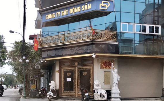 vi sao cong ty bat dong san cua dai gia duong nhue dong thue 0 dong