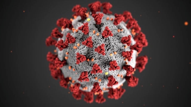 tinh bao my phu nhan thong tin virus sars cov 2 do con nguoi tao ra