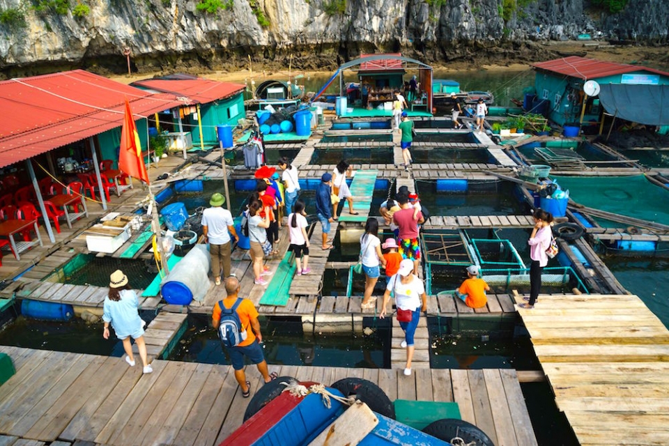 cat ba quan dao dep bi an voi nhieu truyen thong lich su