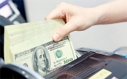 Tỷ giá ngoại tệ hôm nay 13/7: Giá USD tiếp tục sụt giảm