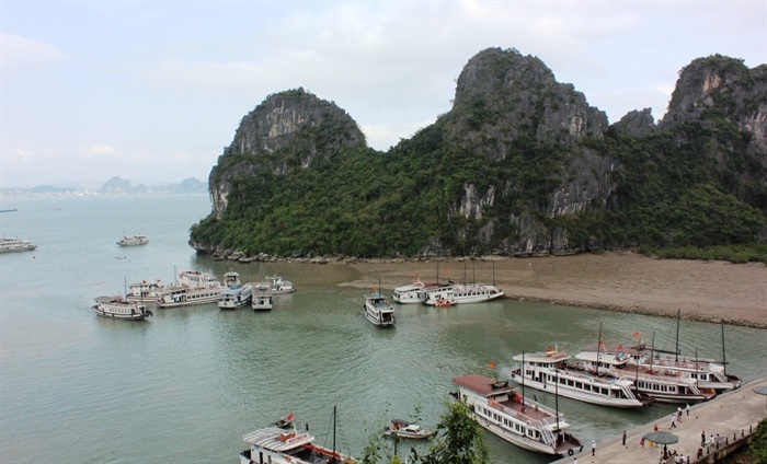 Quay lén du khách tắm, tàu du lịch ở Hạ Long bị đình chỉ