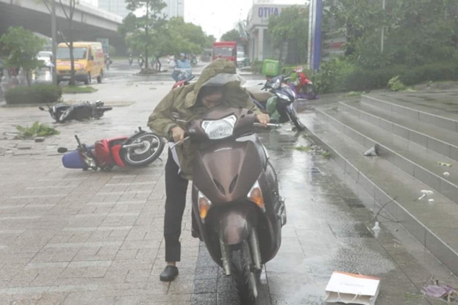 mua dong du doi quat nga nhieu cay xanh ha noi lai ngap