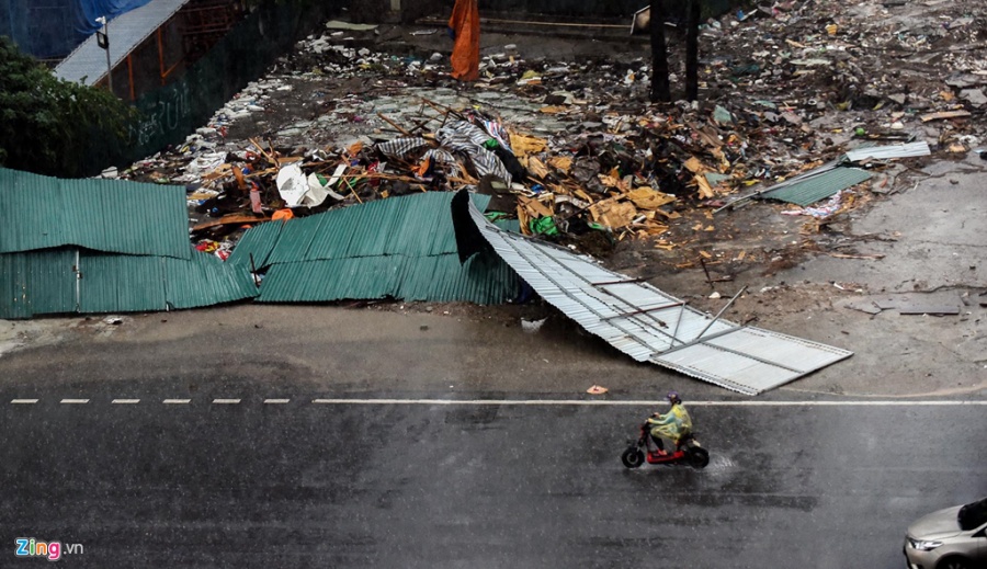 mua dong du doi quat nga nhieu cay xanh ha noi lai ngap