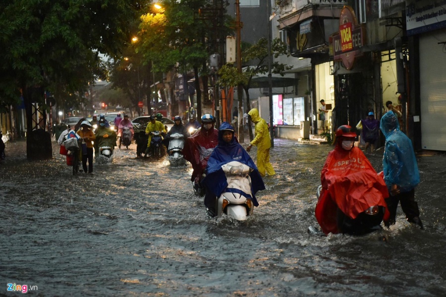 mua dong du doi quat nga nhieu cay xanh ha noi lai ngap