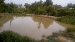 an giang ru nhau ra ho tam 3 hoc sinh tieu hoc bi duoi nuoc