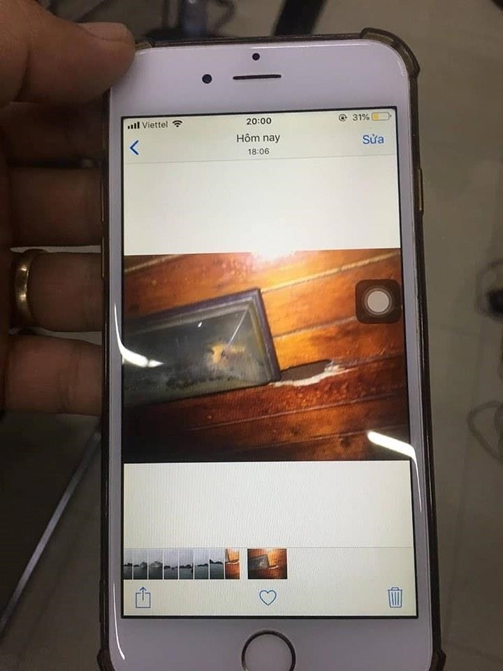 vu quay trom du khach tam o ha long cong an dang khoi phuc lai video bi xoa