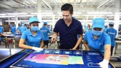 Asanzo chính thức kiện báo Tuổi trẻ, đòi bồi thường