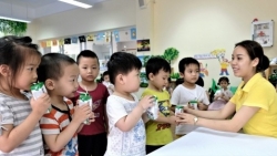 Vào năm học mới, sữa học đường vẫn chờ quy chuẩn