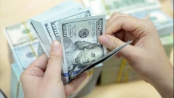 Tỷ giá ngoại tệ hôm nay 15/8: USD tiếp tục tăng cao, NDT giảm sâu