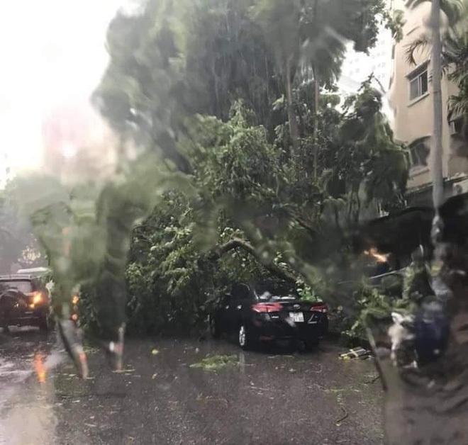 con dong kinh hoang thoi bay nguoi quat nga nhieu cay xanh o ha noi