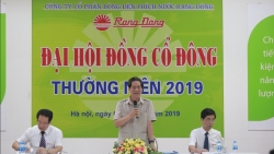 Người nắm giữ cổ phần nhiều nhất ở Công ty Rạng Đông là ai?