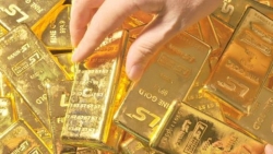 gia vang hom nay 79 giam gia manh co nen tranh thu dau co