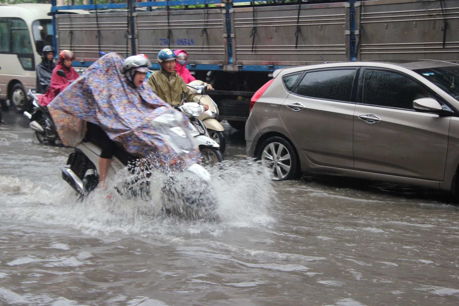 gio mua ve ha noi mua nhu trut nuoc