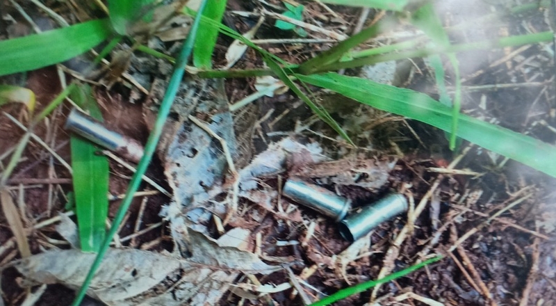 Nghi mẫu thuẫn đất đai, em nổ súng bắn vợ chồng anh trai thương vong ở Bình Phước nghi mau thuan dat dai em no sung ban vo chong anh trai thuong vong o binh phuoc